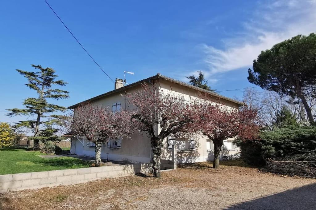 Maison Gaillacoise Extérieur photo